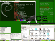LXDE Debian Green